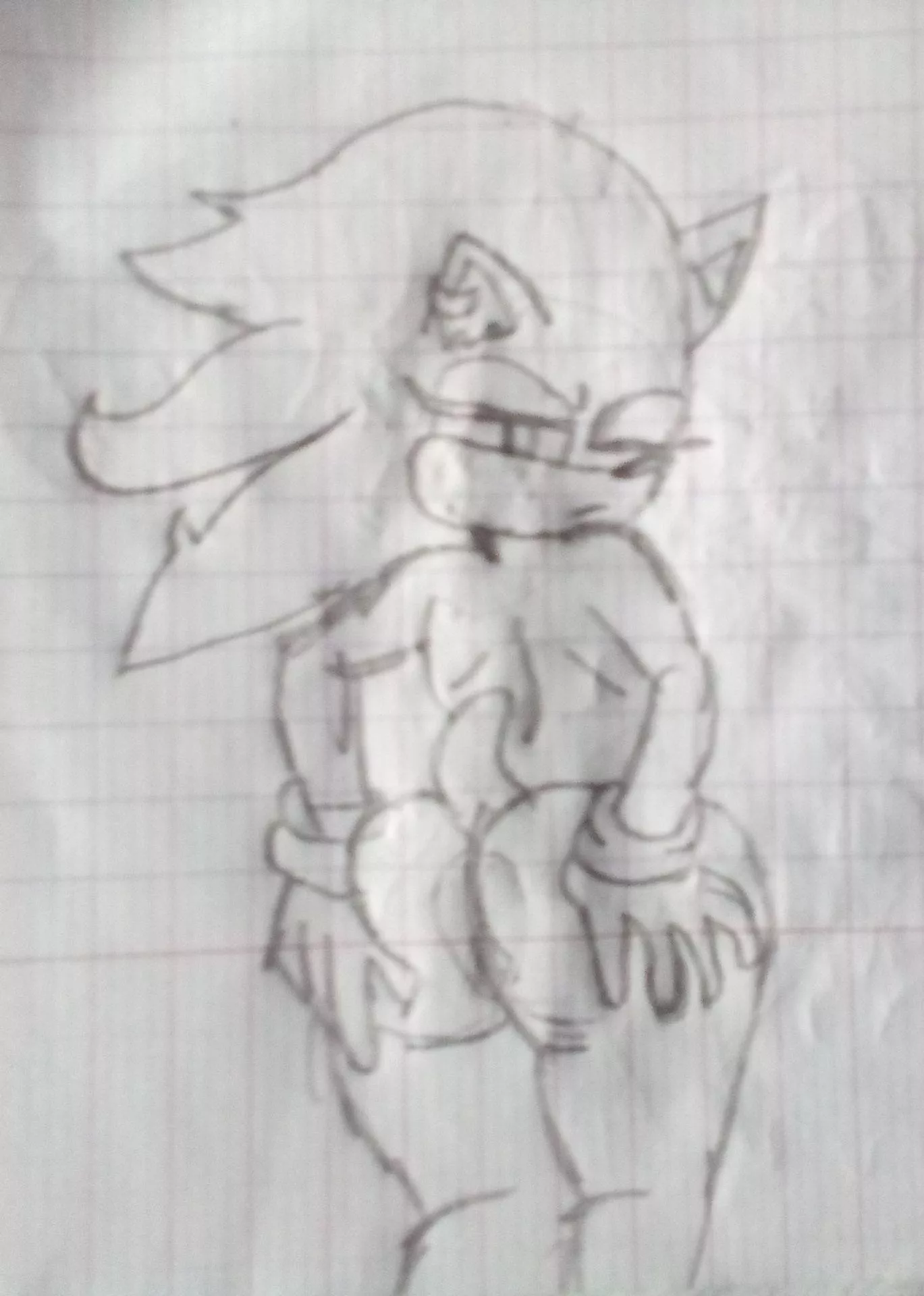 sonica's ass(Sonic genderswap) posted by yannette-192