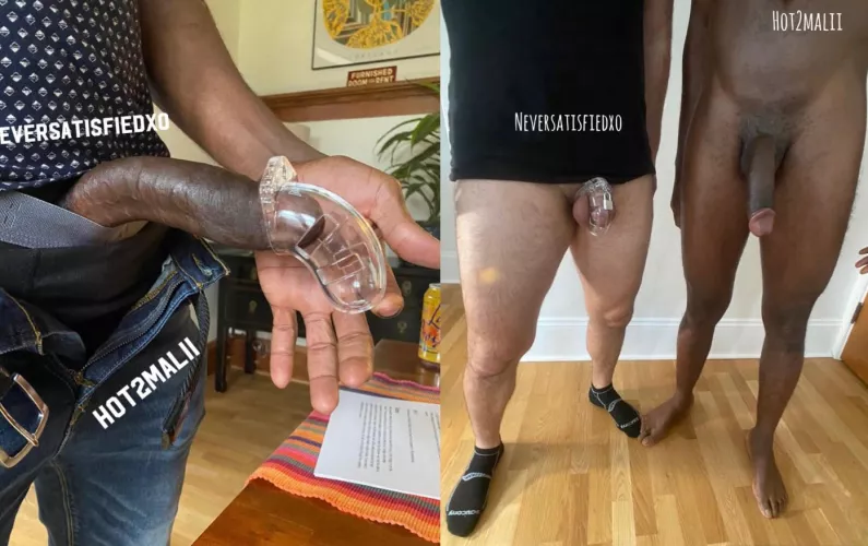 The chastity cage didn’t even fit past my bulls head but it was too big for my husband by Prestigious-Ad7145