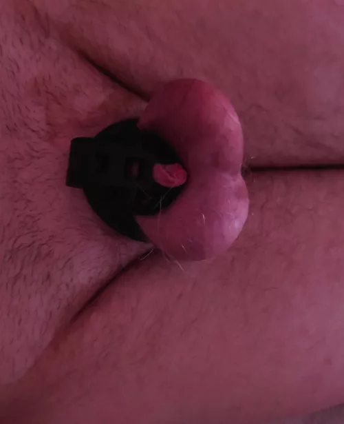 the d!ckpick you dont wanna send..😳 by ImagineChastity