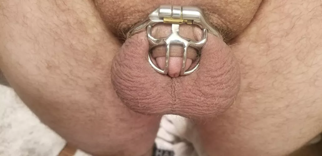 They get so full after watching her get fucked by LockedforGoddessNiq