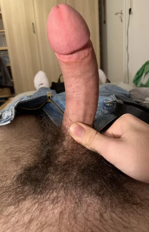 This thing is so distracting by Jazzlikeadvantage23