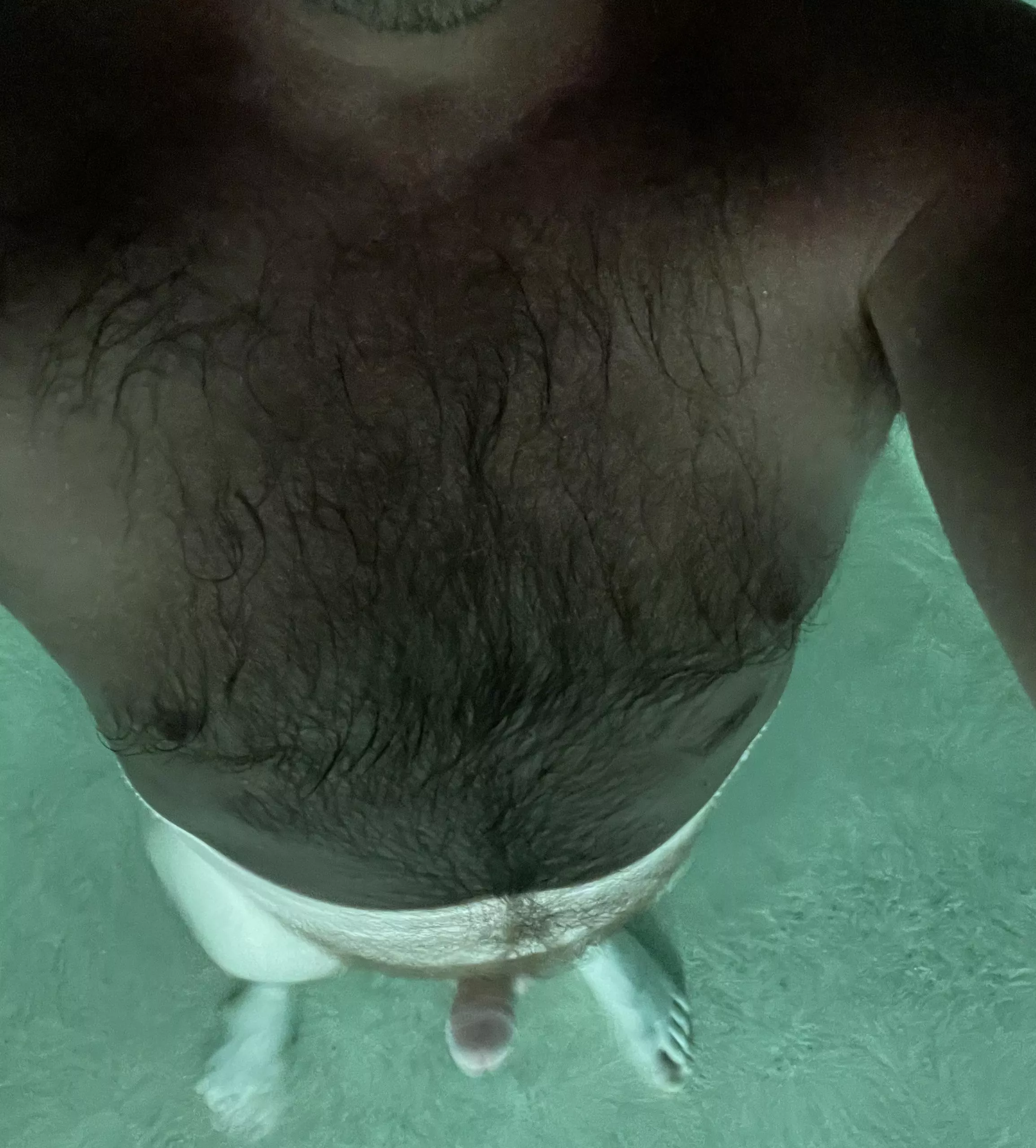 Wet fur from skinny dipping posted by htppth