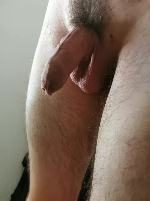 What's the first word that comes to mind when you see my cock? by HastMoose
