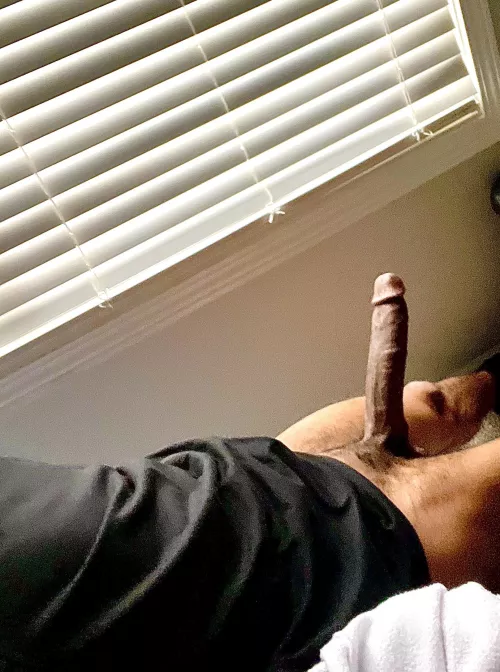 Woke up on BRICK 😮‍💨🍆 by No_Ad_4465