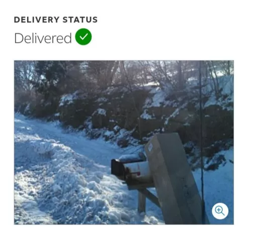 I was telling about how FedEx nearly destroyed my doll this last time and I found the photo that they sent me. The neck bolt was poking through the box even and this is by the roadside. by Good_Key4039