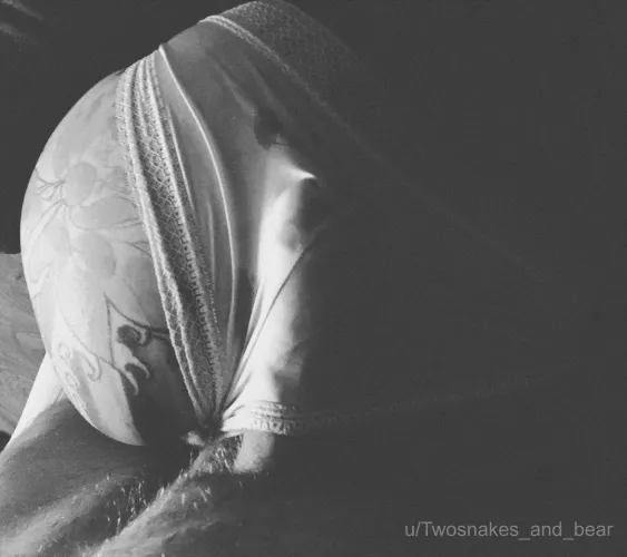 🎶 I’m not afraid not at all /I watch them all as they fall /But I remember When we were young🎶 by Twosnakes_and_bear