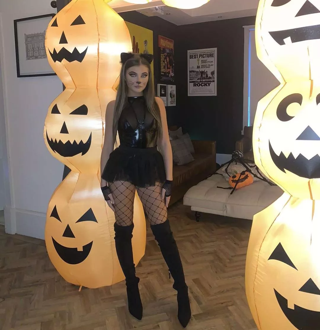 Meow posted by pamandtommy2022