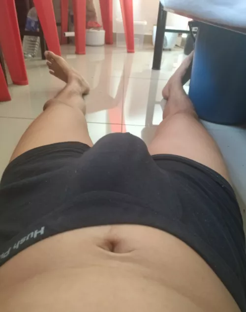 morning wood bulges by More-Bird4376