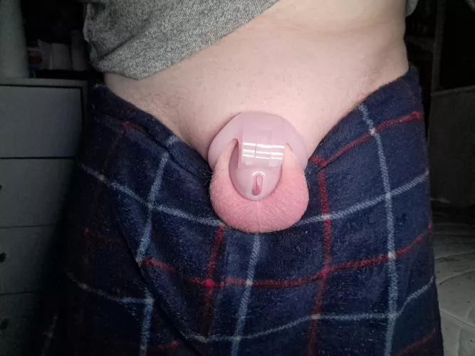 my gf wants me to freeze my sperm and get an orchiectomy, i dont want to do that, but i dont want to disobey her. What do i do? by XoThrowMeAwayoX