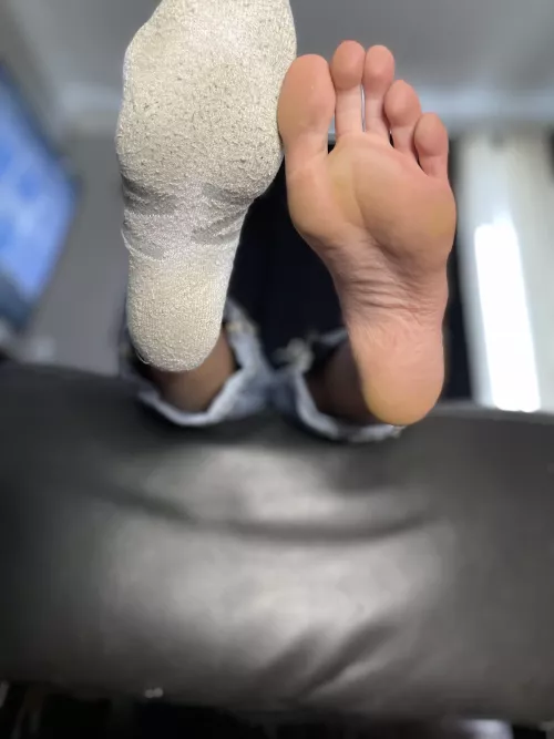 Sit pretty by sundazeblaze1