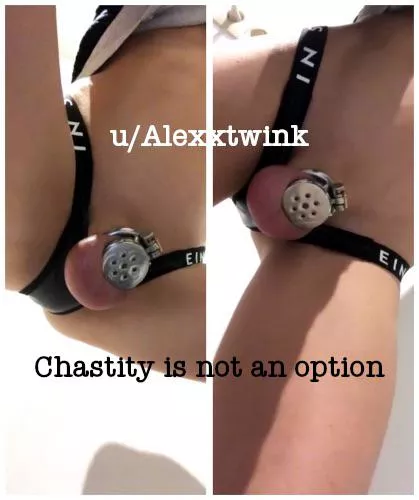 Slave Training - Chastity is not an option posted by AlexxTwink