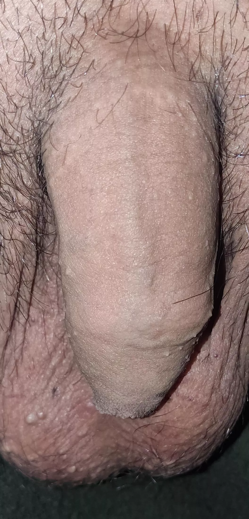 soft and low hangers, wanna help me get hard? posted by love_my_dick