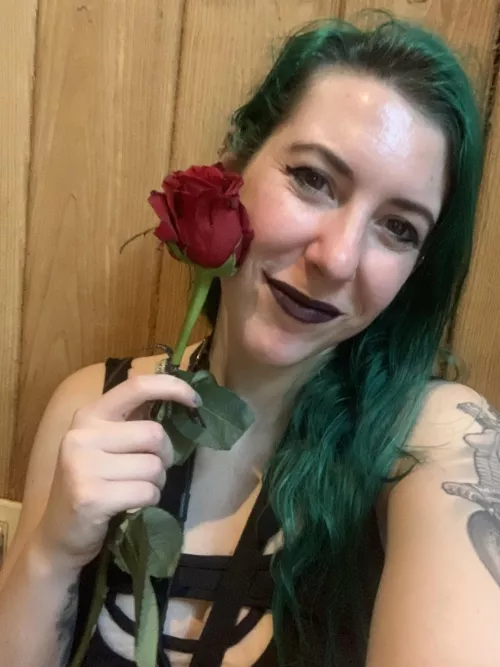 Valentine's rose by sirenskiss3