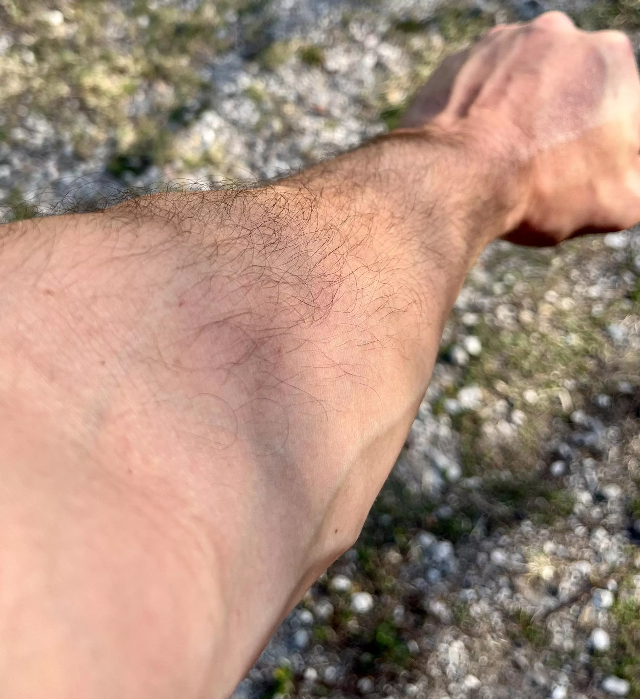 What do you title these things? posted by dm_me_your_planties