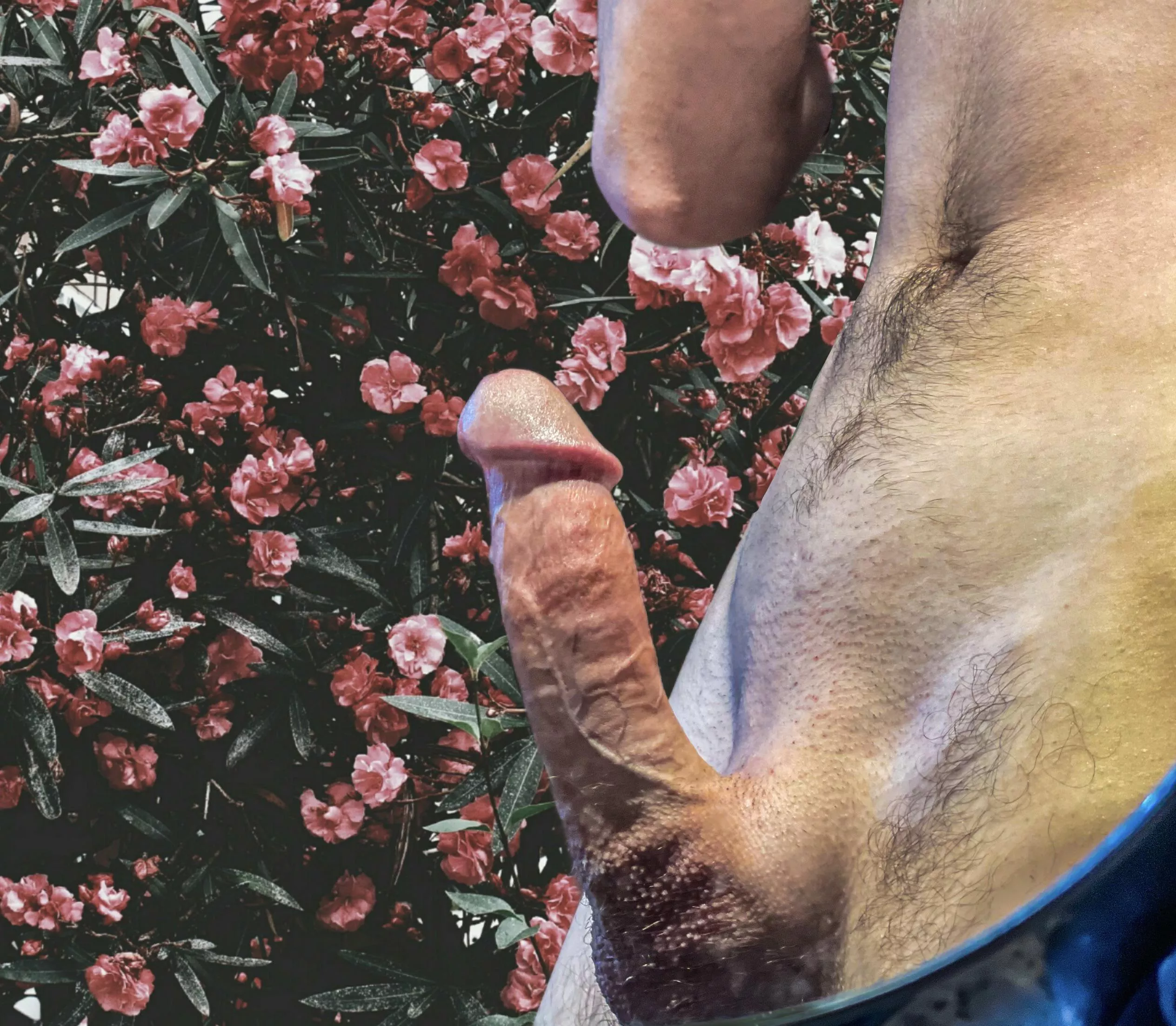 What would you do if you had this in-front of you??;) posted by Delicious_Maybe3508