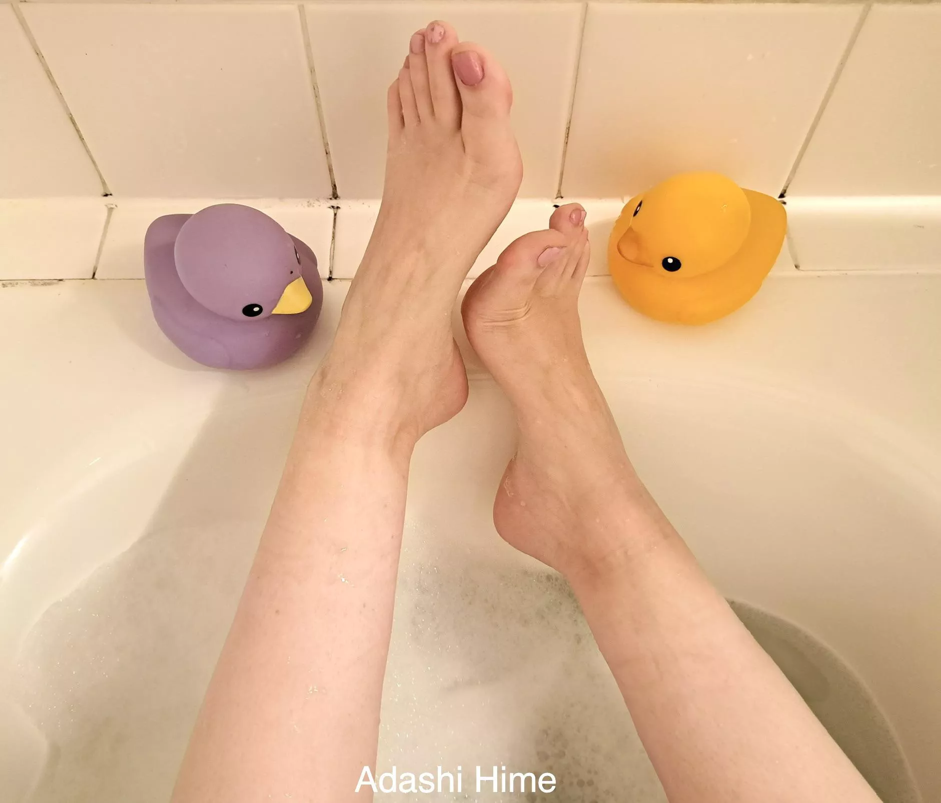 Which duck would you like to be ? posted by adashi_hime