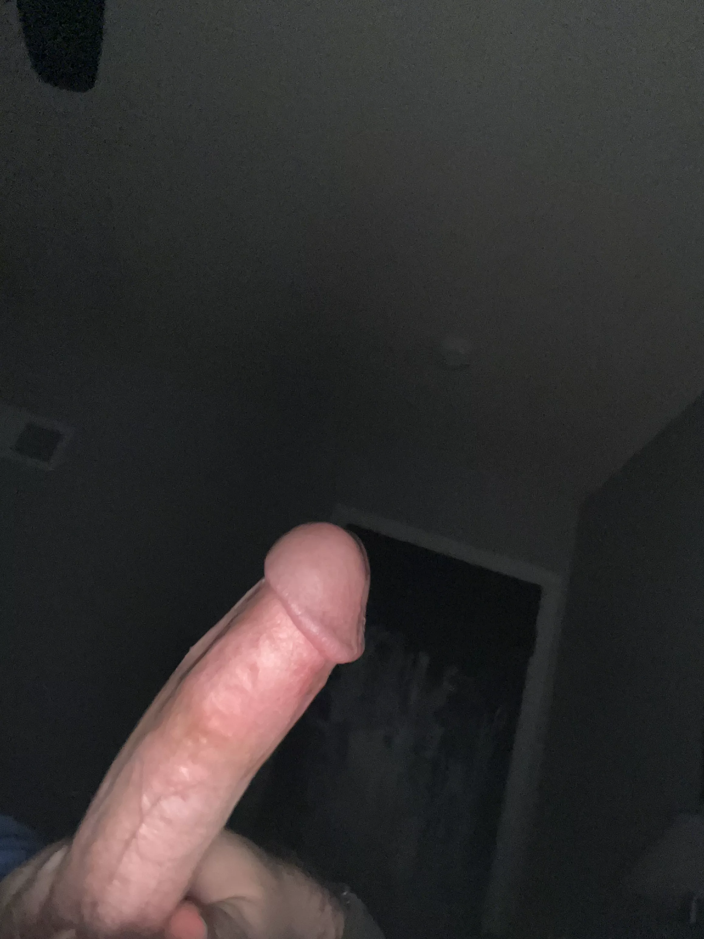 Would you sit on it it I asked nicely? (47) posted by josef_k_2018