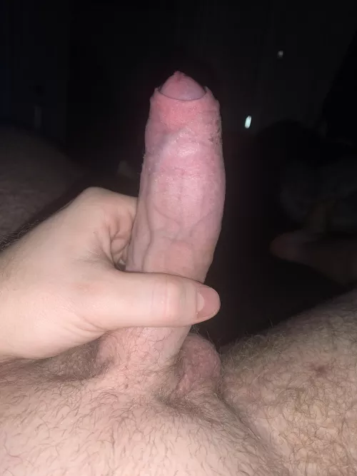 Anyone want to help me by Queasy-Pollution7159