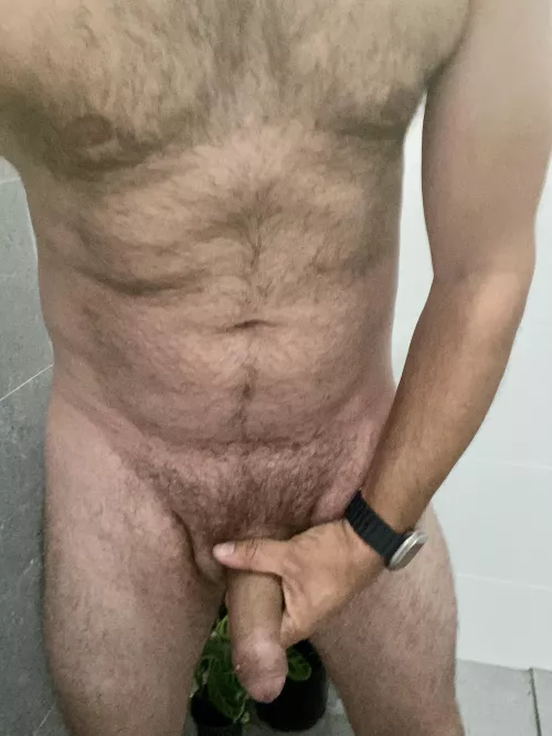 Cock needs a home by SmokySix