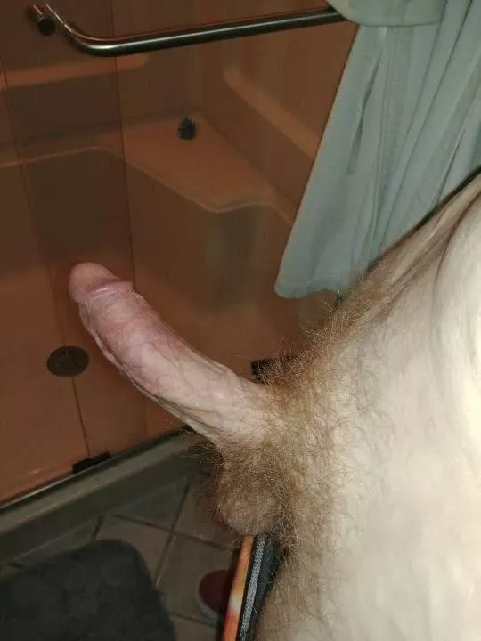 How's this looking? posted by Next-Tradition-8182