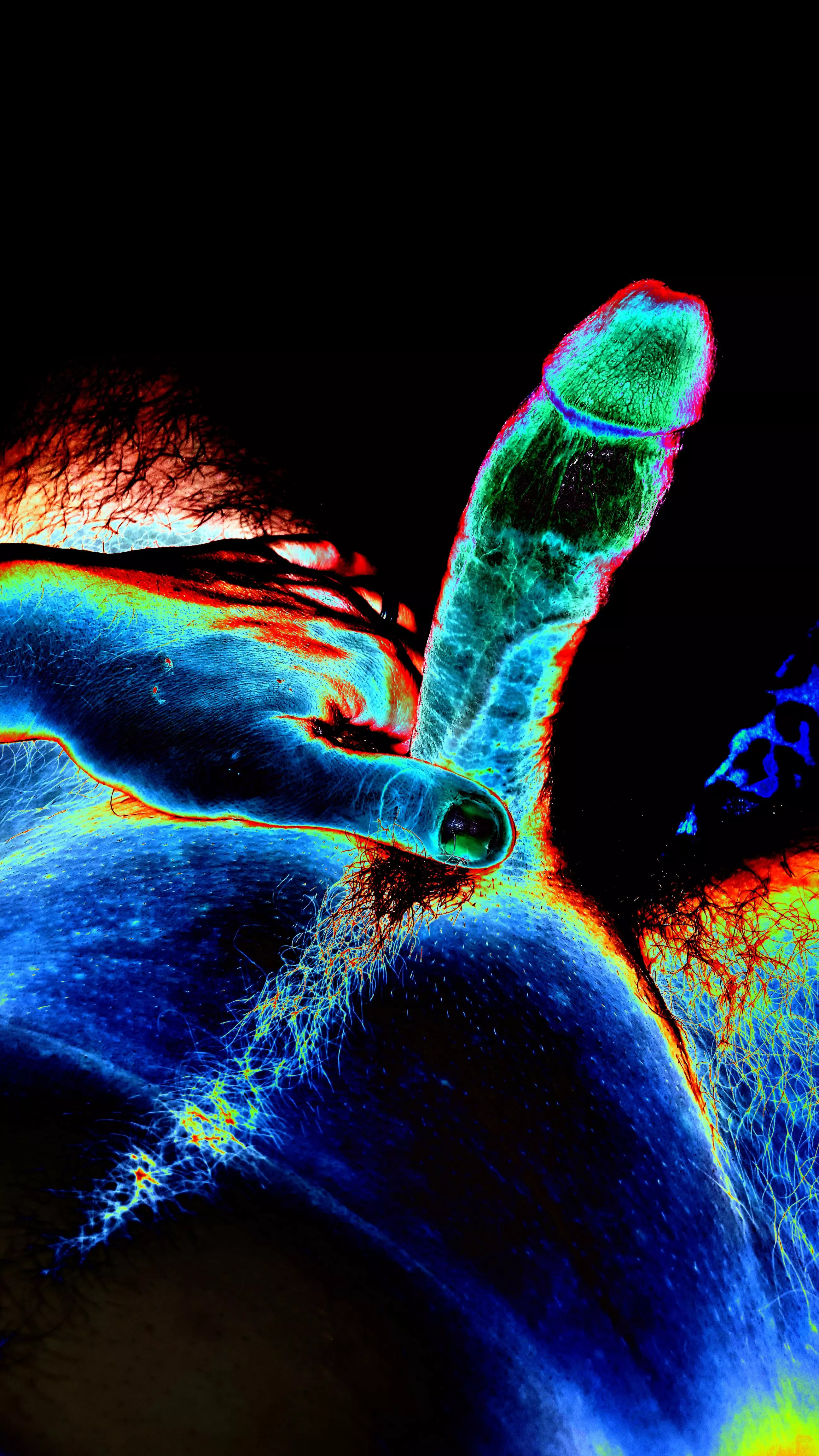 interesting colors!! posted by dbrewer0502