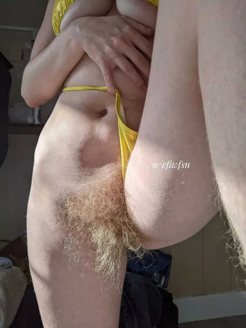 I've got that ZZ Top bush by efiwfsn