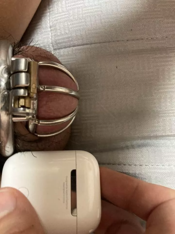 My pathetic can't win even AirPods either. posted by aki291