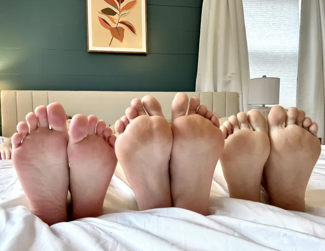 Which of these soles would you glaze first? by xLovelyAdrianax