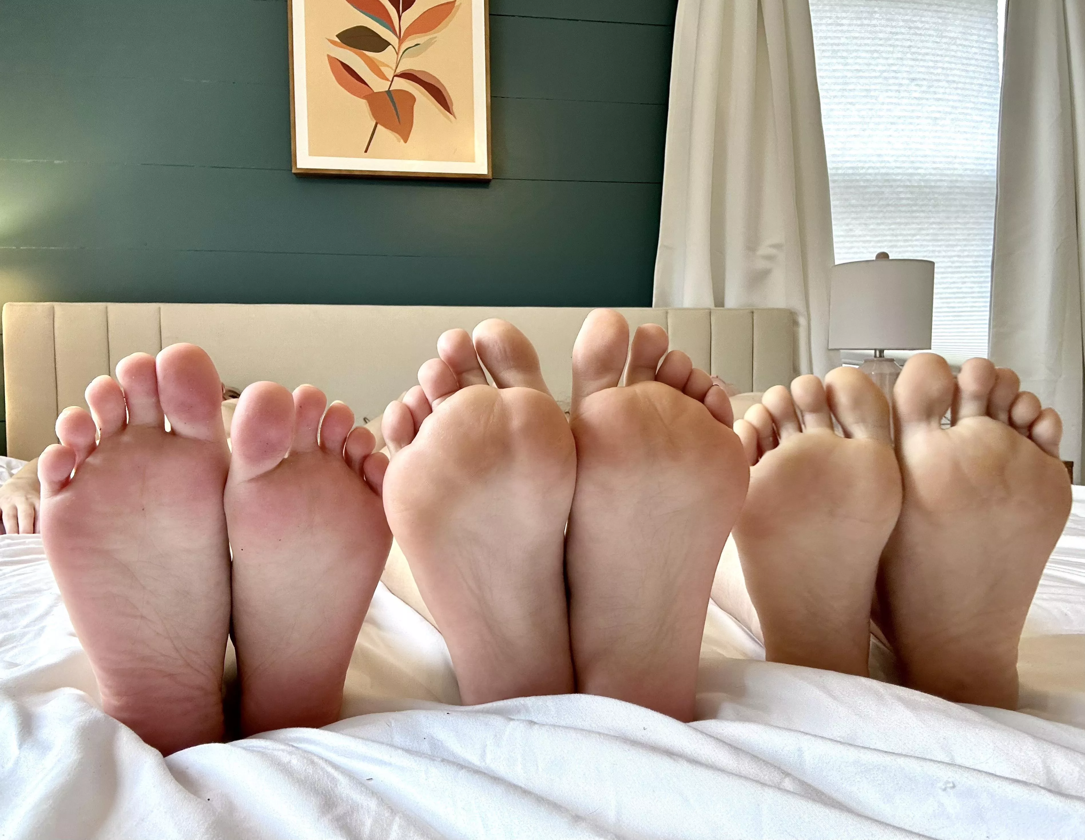 Which of these soles would you glaze first? posted by xLovelyAdrianax