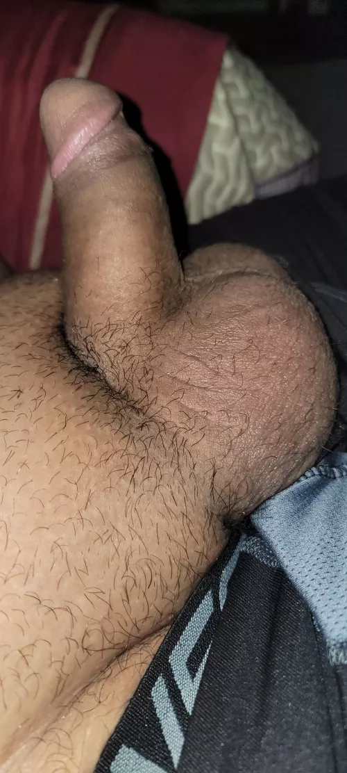 Who wants a morning ride by Alarming_Emphasis449