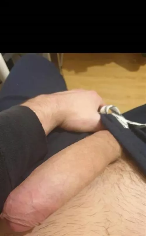 Young bull by Khalidor11