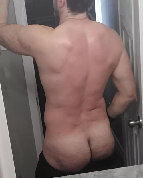 your next scratching post [42] by snapturb8tor