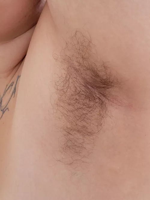 a close up of my fluffy pit by alucidfever