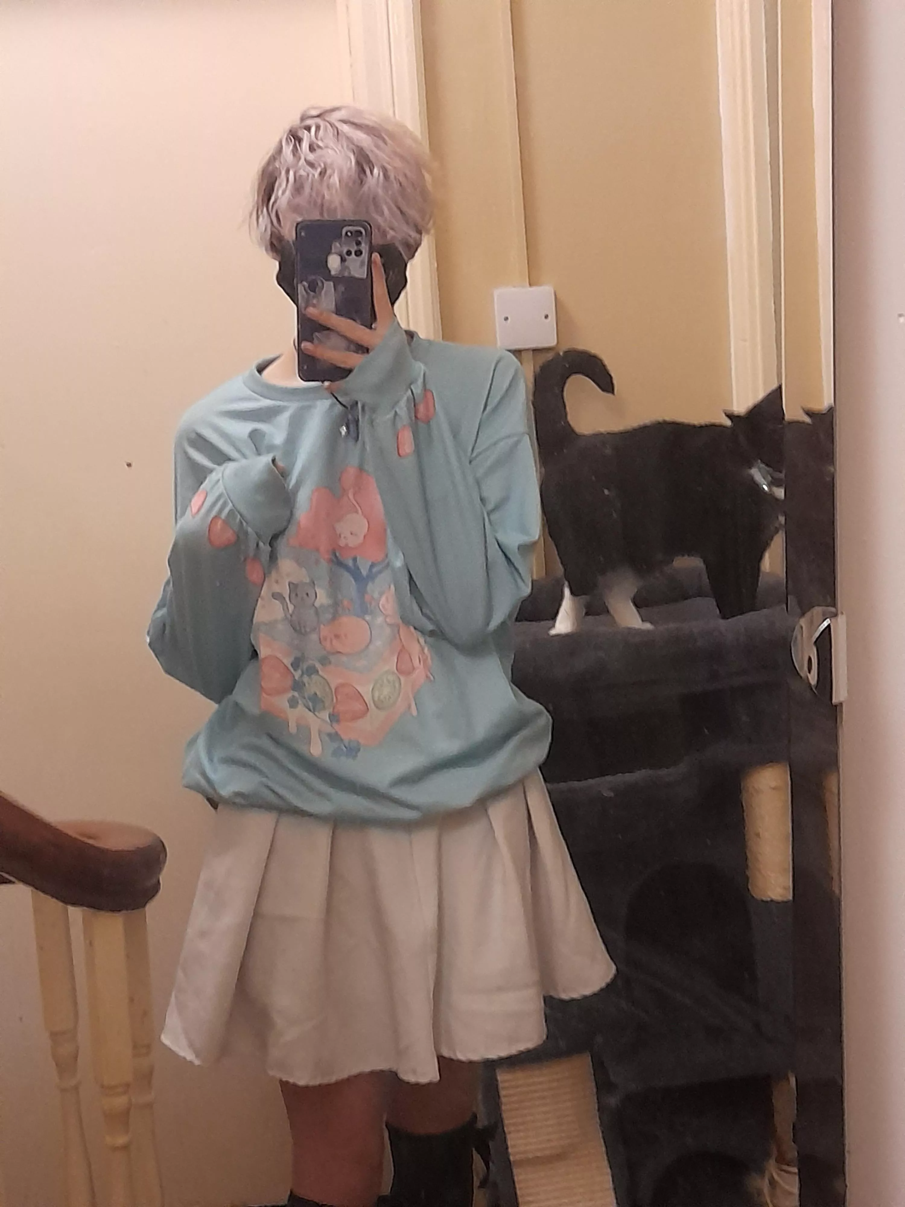 cats! posted by ulyvanosk