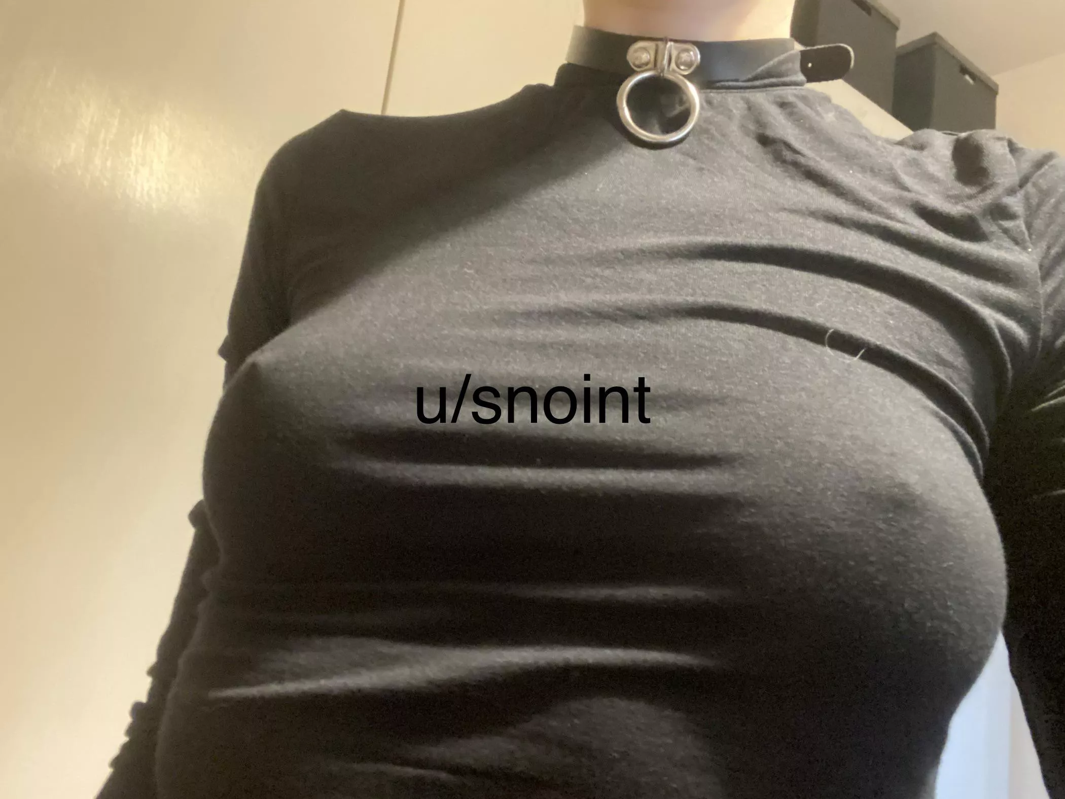 Do you think anyone will notice? posted by snoint