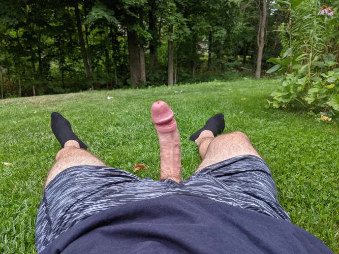 Finish our picnic with this treat by Fitz-haraway5