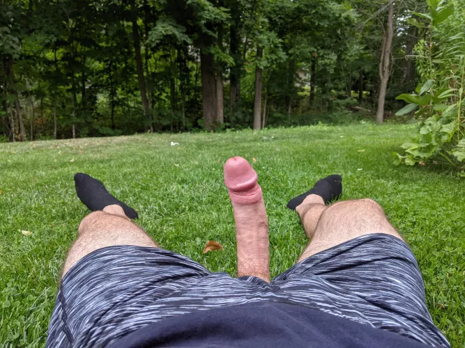 Finish our picnic with this treat by Fitz-haraway5