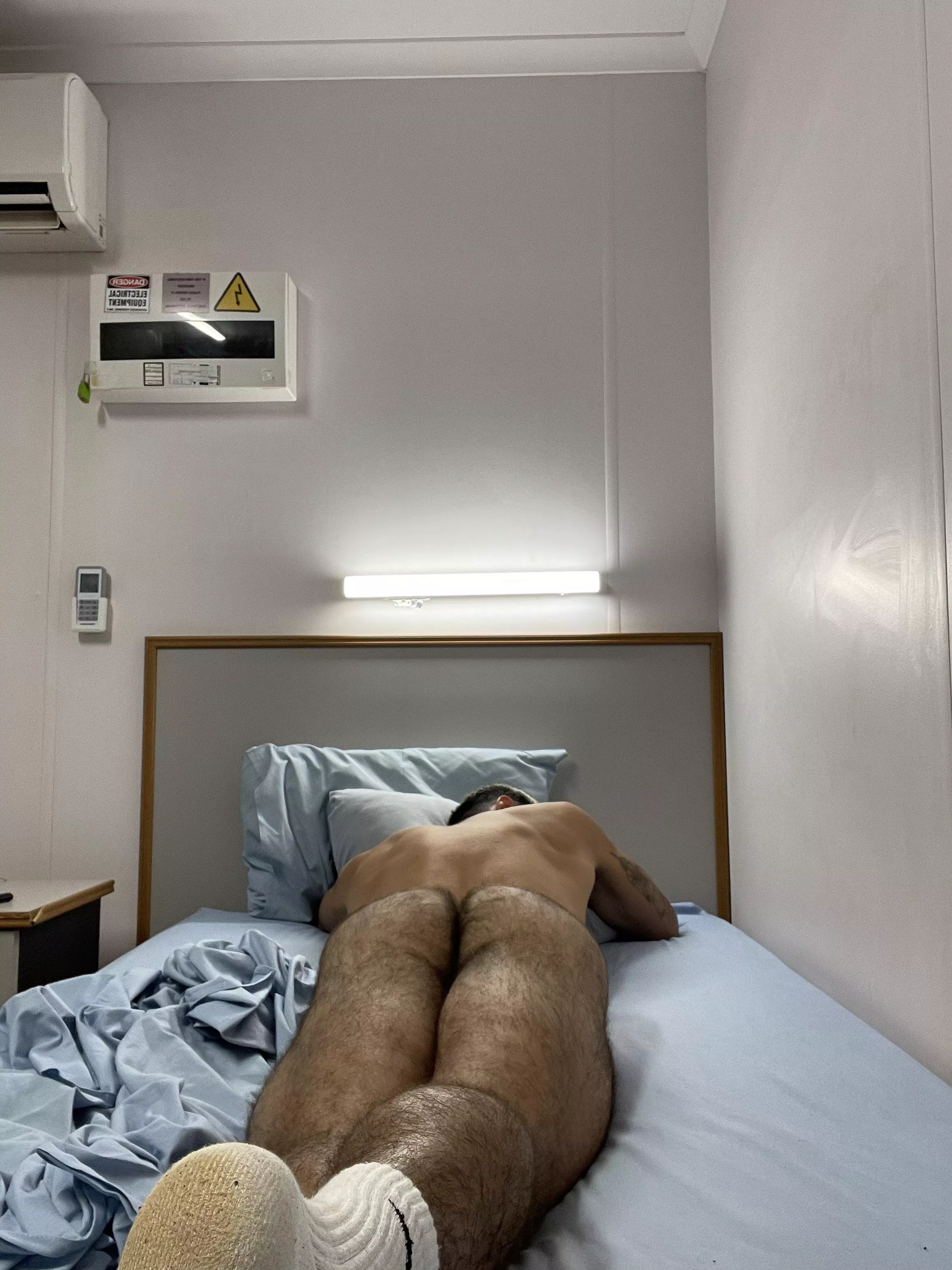 Furry posted by goushzyb