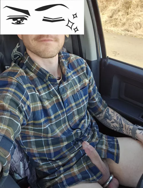 Had to pull over the work truck to take care of something earlier by Alternative_prune