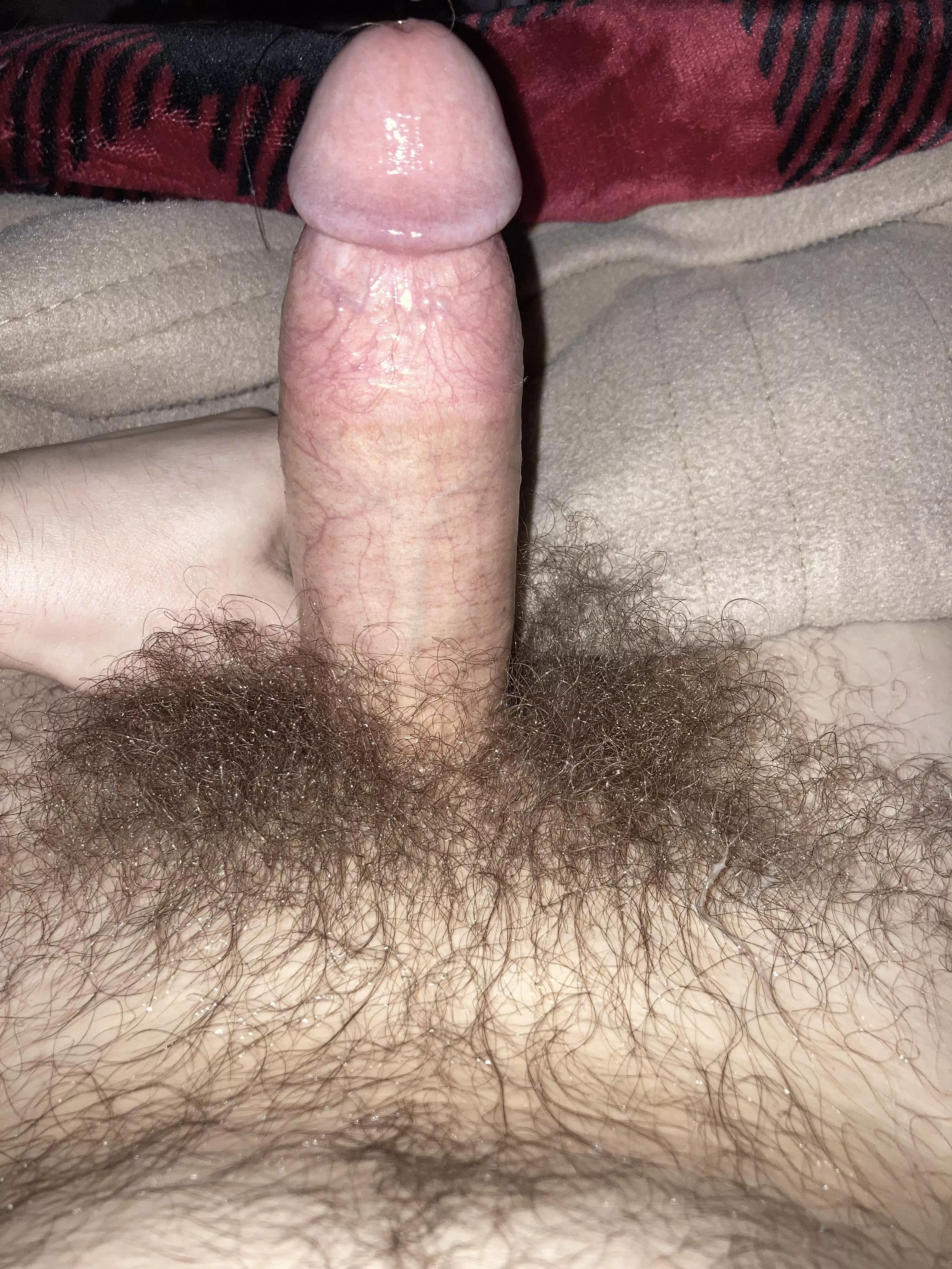 Haven’t shaved in ages posted by DanielS35