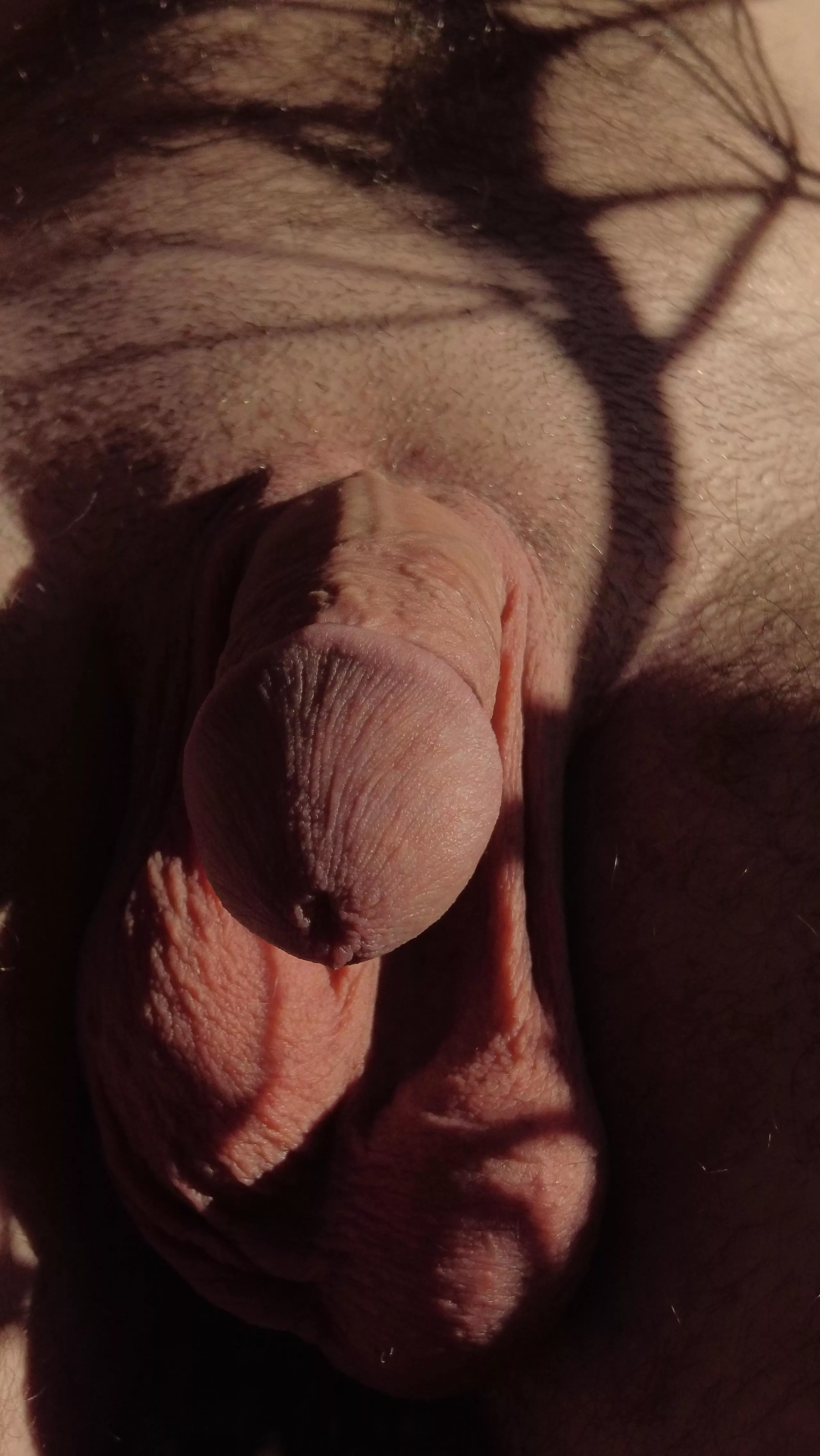 Heavy Balls posted by randomload6969420