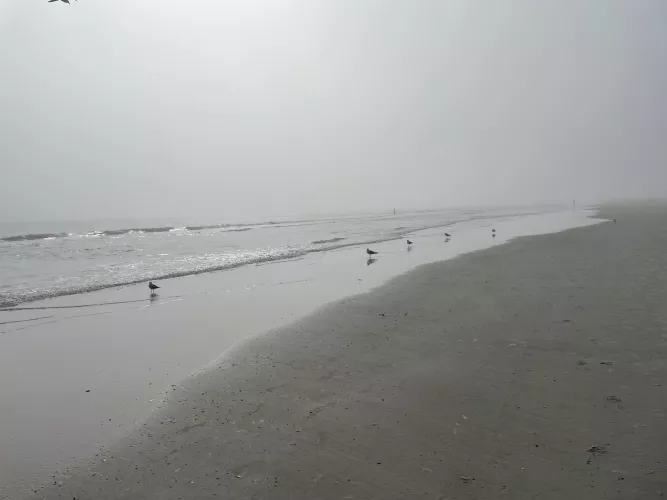 Jacksonville Beach by FlordiamanAlan