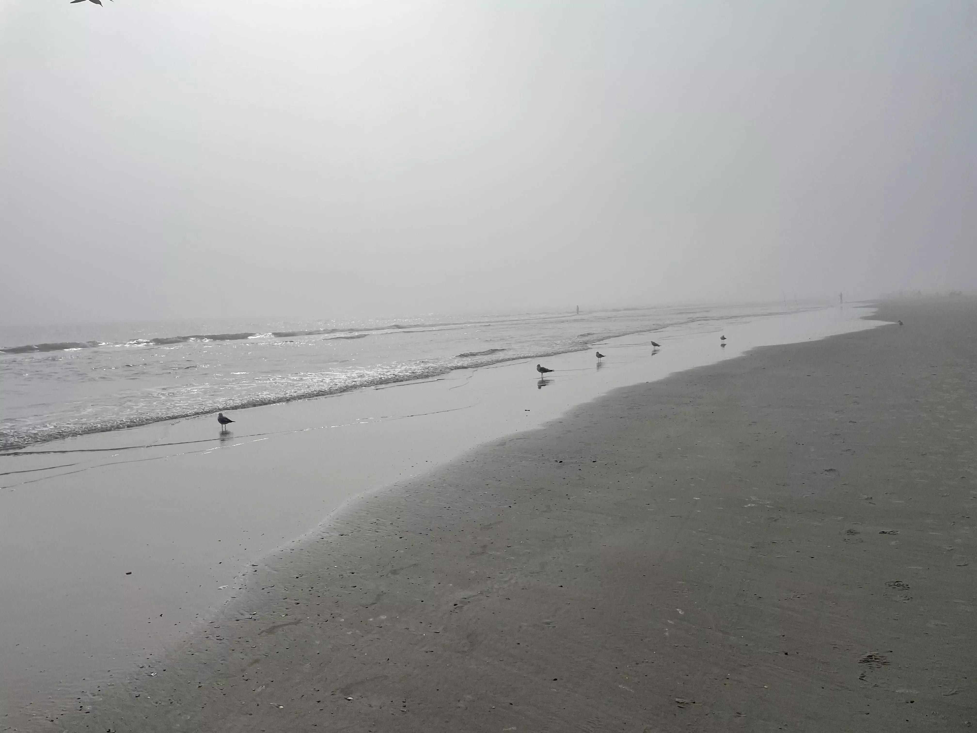 Jacksonville Beach posted by FlordiamanAlan