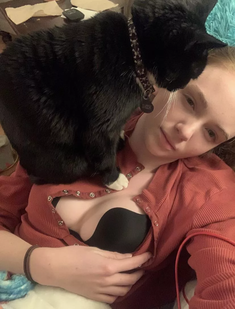 Kitty Tittys posted by winstonsalem1234