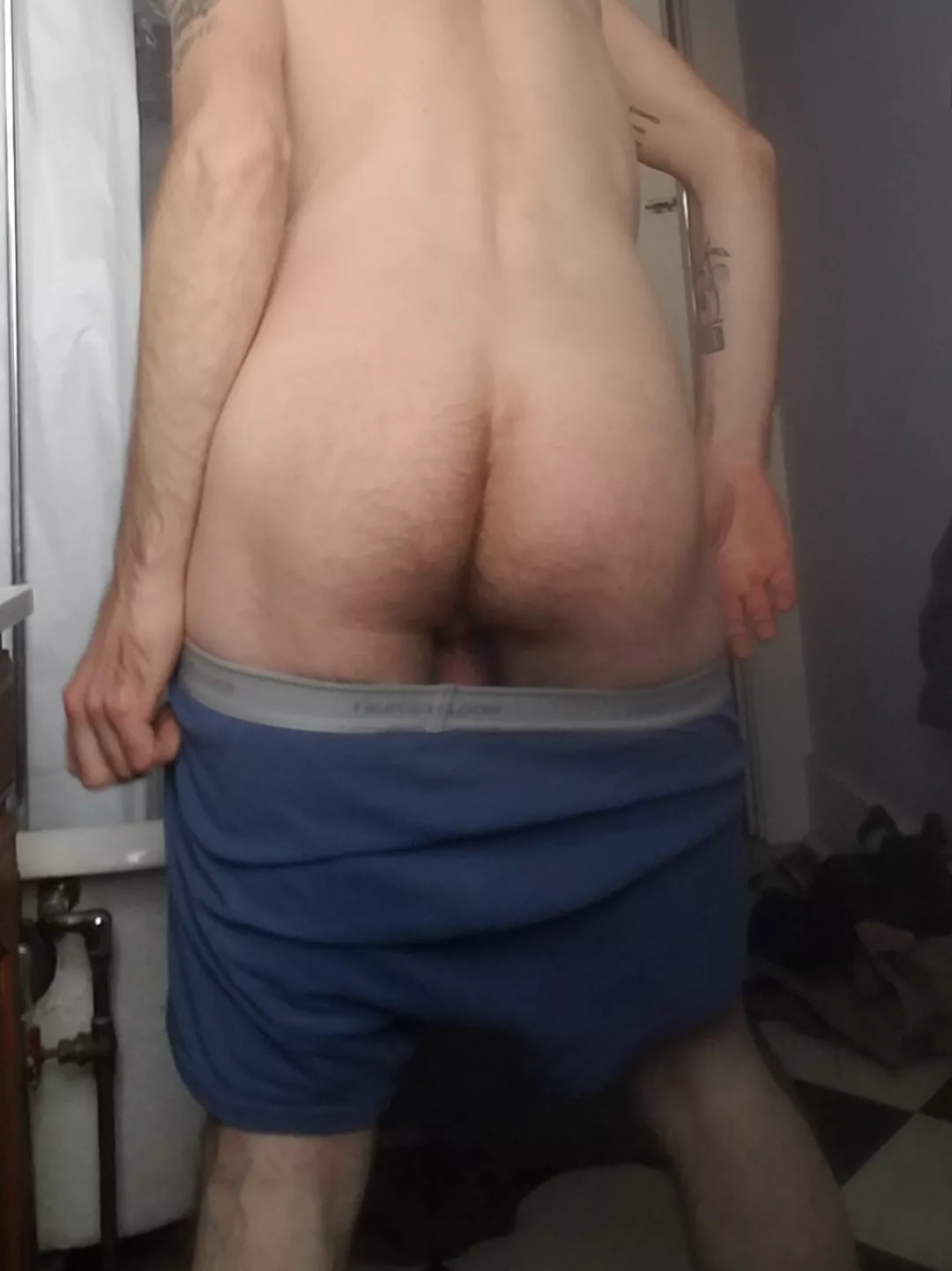 like my furry ass? [34] posted by AndyAnthers