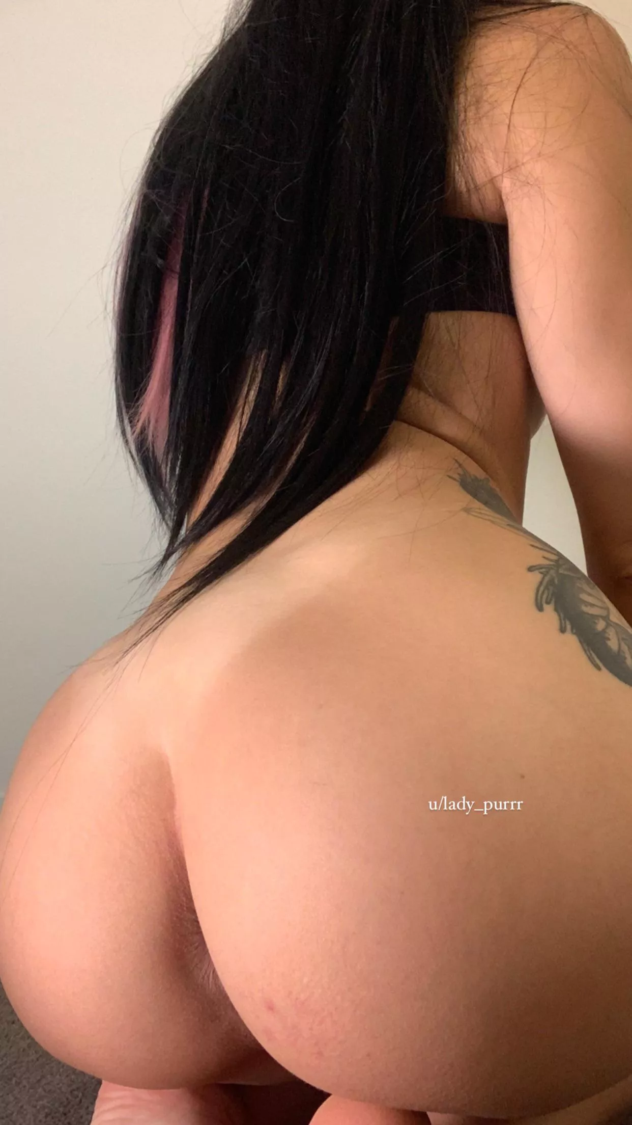 🌸 Looking for a man to eat my ass. Any volunteers? 🌸 posted by lady_purrr