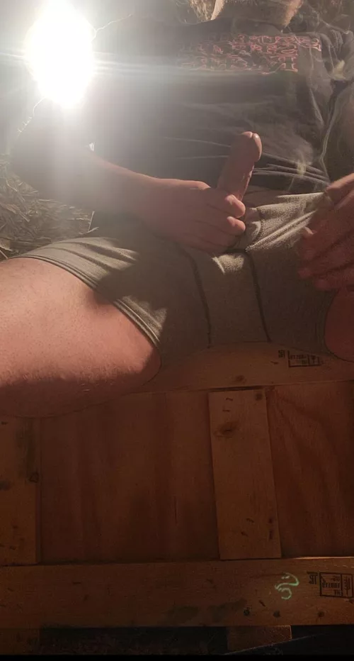 [M] Come hang out by SimpleCardiologist47