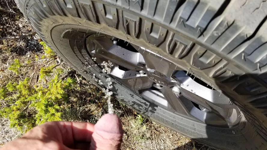 Marking my jeep 🐽 by JKPig66