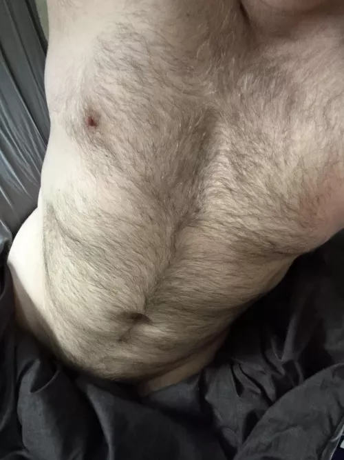 My hair is growing back in…🐻 by _Curious-Dude_