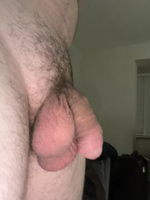 My softy. Nervous with my first post. Not usually confident due to how much smaller it is soft but feeling brave tonight by jgfyijffij